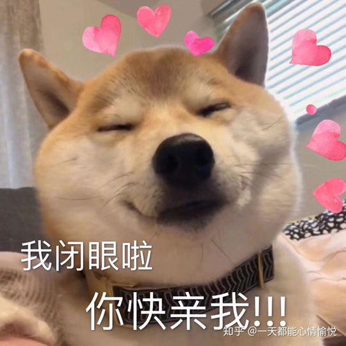 狗狗搞笑表情包来了不打算让自己可爱点吗教你转成微信表情包