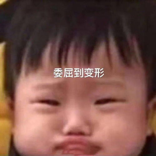 奇里奇怪的表情包来啦˙