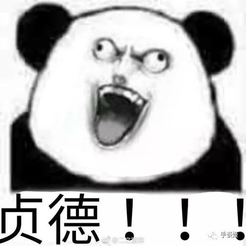 听说那个地方常年飘雪