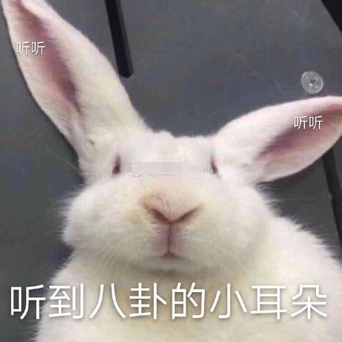 拼多多代运营公司靠谱吗