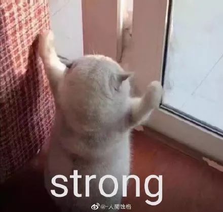 知此七事不枉一生