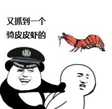 老子手撕了你的皮皮虾表情包下载老子手撕了你的皮皮虾表情包高清版
