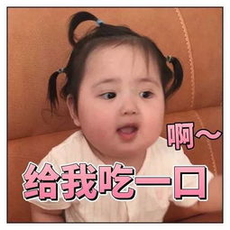 一条小团团表情包大全小刚
