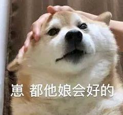 搞笑gif前不久锅锅在网上看到这个鸡姓属实震惊了