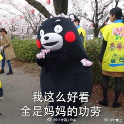 5.13浙师大芰荷汉服社笄礼nk帝国工作室