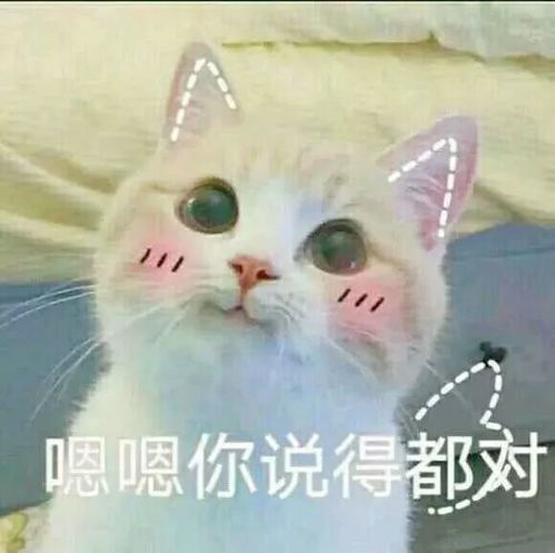 我和妖怪们同居的日子