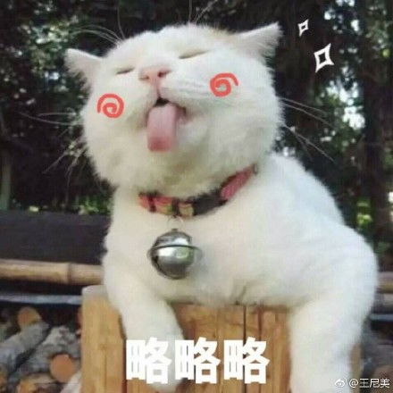 动物趣图表情包