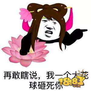 斗图技术哪家强玩家自制王者荣耀表情包