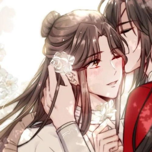 私藏的天官赐福头像,花城谢怜太美了