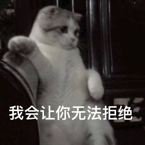 有没有那种带点颜色又很可爱的表情包