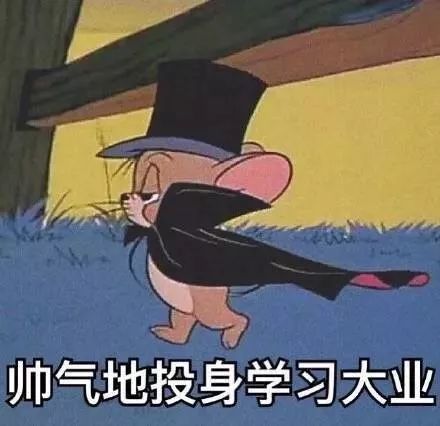 猫和老鼠套图头像壁纸表情包背景图