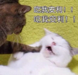 乱棍插死