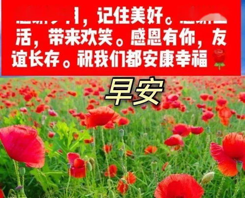早上好表情包,天长地久是友谊,人生最美是相逢朋友早安