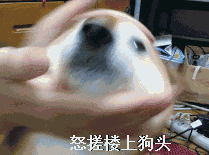 怒搓楼上狗头dogedoge狗头楼上表情