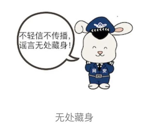 网安兔第二弹来袭,这套表情包请查收