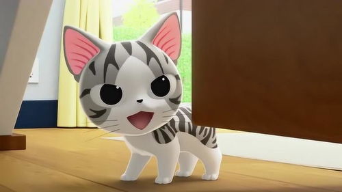 甜甜私房猫小奇妈妈在大扫除不是捉迷藏,你可不能闹哦