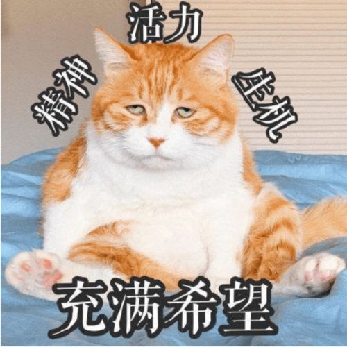 男人梦寐以求的尤物身材长什么样网友她符合了80以上的男人审美

