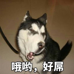简书点名吐槽大会求您做个人