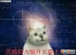 灵感和大脑开发度上升了表情包图片画质提升了猫表情包下载乐游网游戏下载
