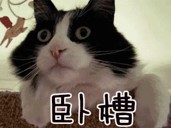 龙州人注意比裸贷更容易套路人心的培训贷,不要上当
