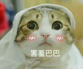 女同性恋有个特别漂亮的女朋友是什么体验