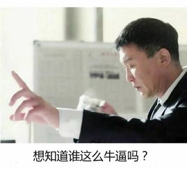 华西上和拟选址德阳旌东新区16个地块,打造上和城