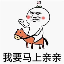 十条段子女人如书架上的书,多多少少都会被别的人翻过