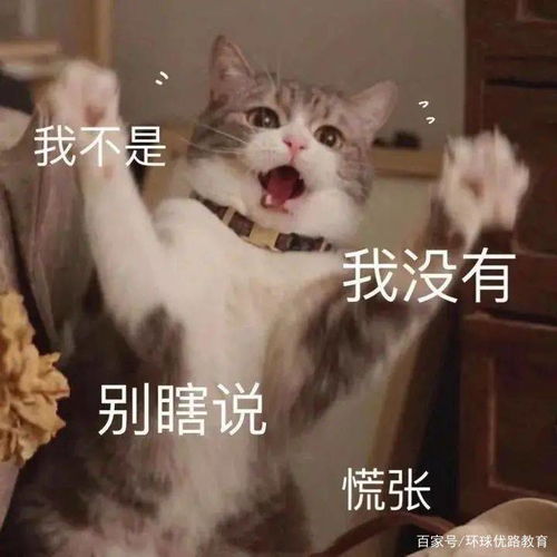 这些千万不要信教资笔试成绩查询在即,谨防上当受骗