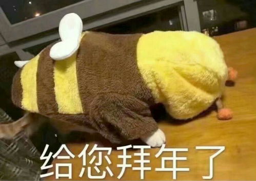 不知道买什么卸妆水乳油