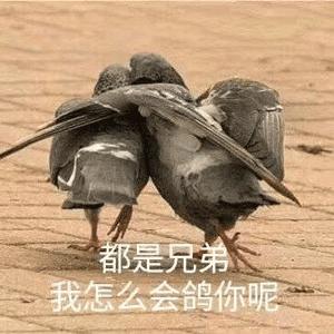 在淮北师范大学就读是一种怎么样的体验
