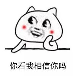 你看我相信你吗表情包