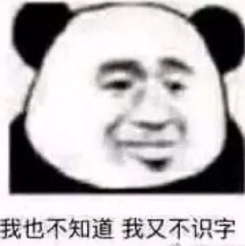 表情包接受今日份表情包