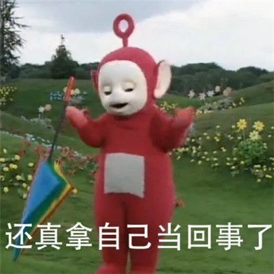 实用的斗图怼人聊天表情包还真拿自己当回事了