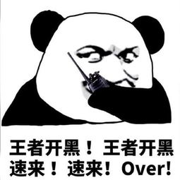 表达完蛋的表情包王者荣耀