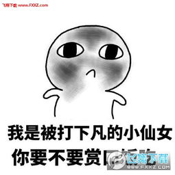 开始要饭养媳妇表情包下载开始要饭养媳妇了表情包无水印版下载飞翔下载