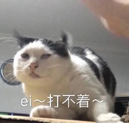 商业大佬退休,投资长生不老