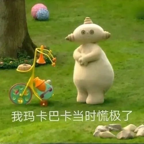 震惊表情包搞笑玛卡