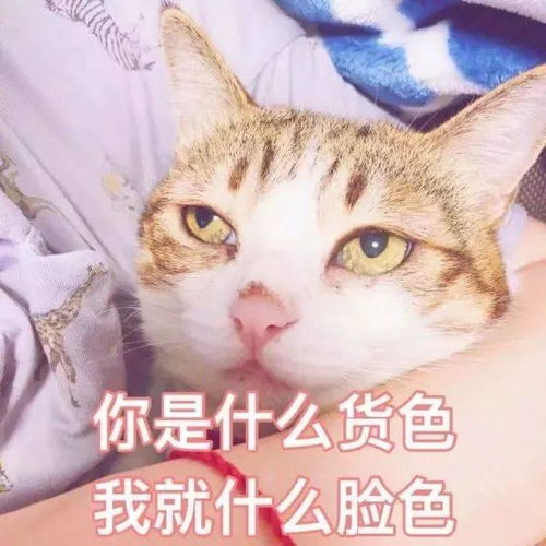 云天