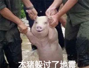 地震了吗表情包震中