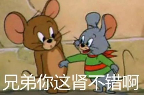 这是最全的猫和老鼠表情包快来抱走吧