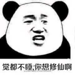 不睡觉要修仙表情图片搞笑版下载不睡觉修仙表情包带文字版下载飞翔下载