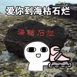 萌新接触轮滑6周后,居然变成这样