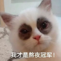 沙雕小动物表情包越可爱,越萌,越骚