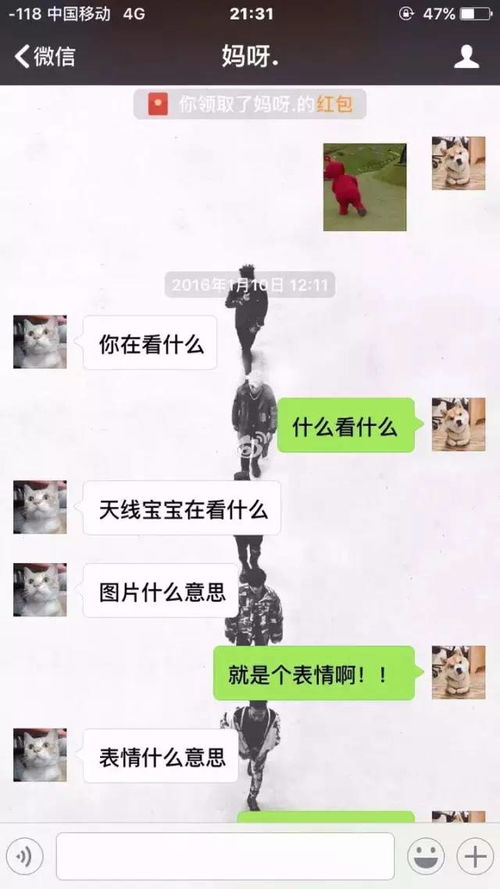 一对母女聊天记录曝光仅凭一张图片妈妈就判断出女儿怀孕
