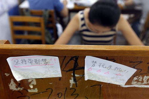 2020研究生从来不是终点站
