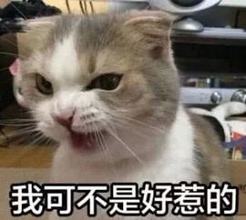 斗图必备治愈系可爱又沙雕斗图表情包,快拿去萌翻你的队友
