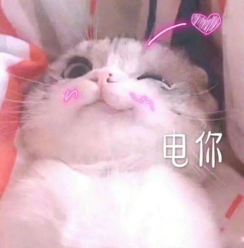 刚刚厦门这个区沸腾了