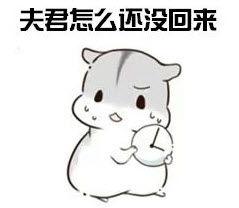 仓鼠臭吐了表情包