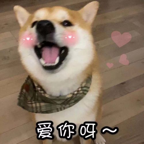 有关于爽肤水的补水原来是这样