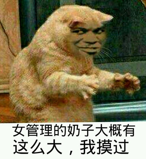 每日更新沙雕表情图为什么不回我,你是网红吗